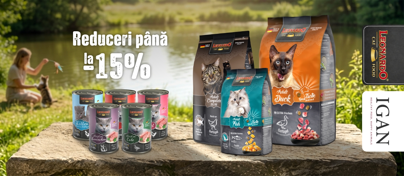 Описание изображения